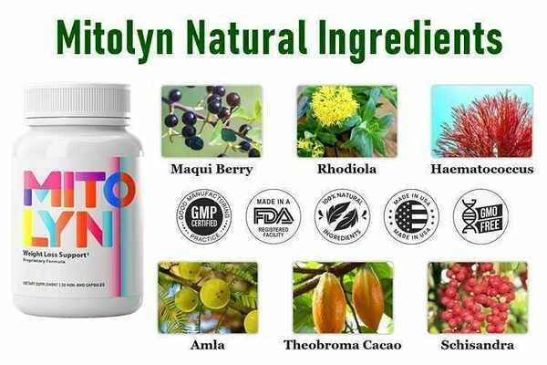 Mitolyn supplement bottle with positive customer weight loss reviews